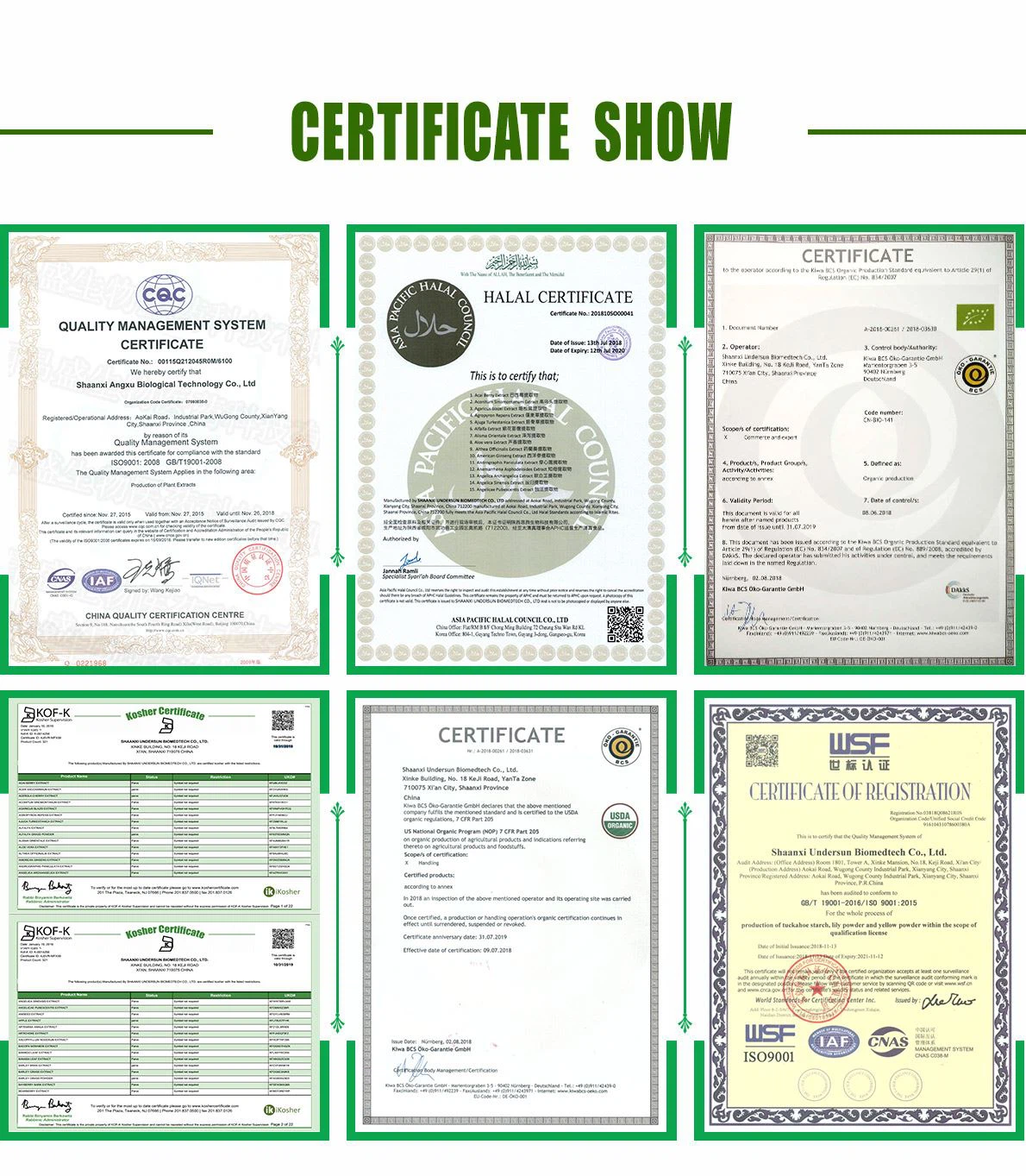 certification certification