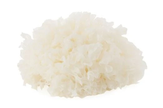 organic Tremella Powder