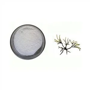 カラギーナン抽出物