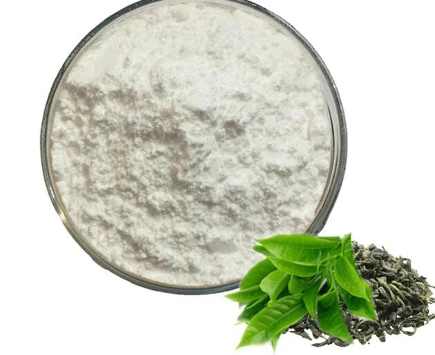 緑茶EGCG抽出物