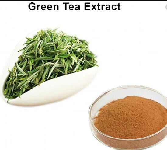 緑茶エキスパウダーバルク