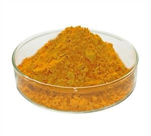 コエンザイムQ10パウダー